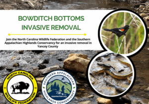 BowditchBottoms2