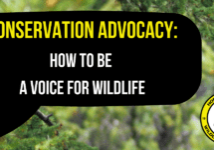 Conservation Advocacy
