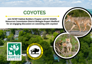 CoyotesWithWRC