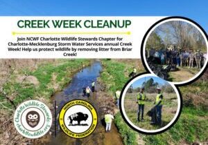 CreekWeekCleanupChantilly