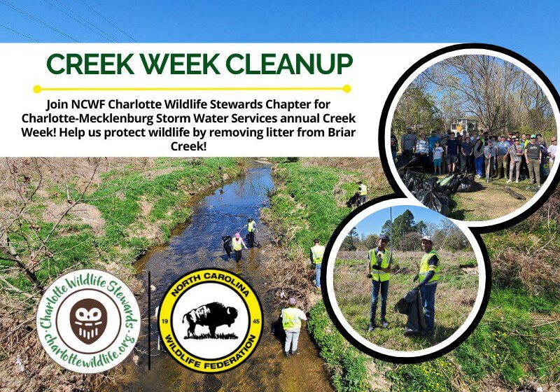 CreekWeekCleanupChantilly
