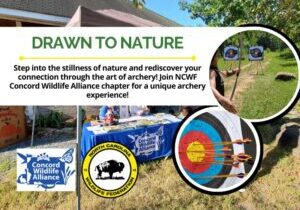 DrawnToNature