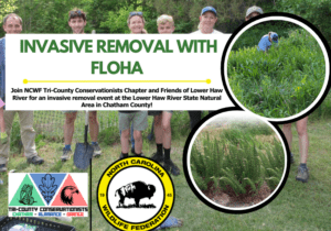 FLOHA