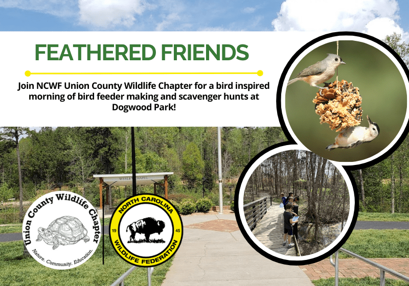 FeatheredFriendsFeeder