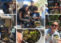 Island Wildlife Chapter Flytrap Brewing Blooms Event: The Island Wildlife Chapter hosted a Carnivorous Plant Workshop at a festival on April 24 to teach about carnivorous plants in the Cape Fear Region and to educate about the importance of preserving habitat and wildlife.