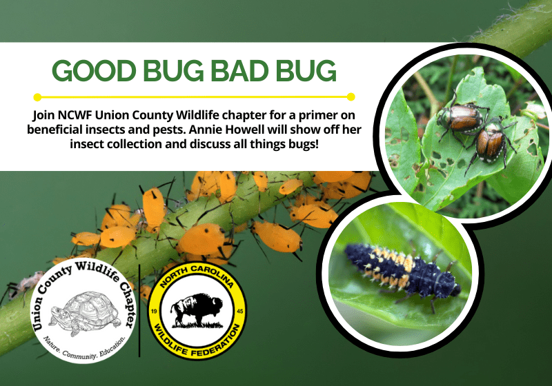 GoodBugBadBug