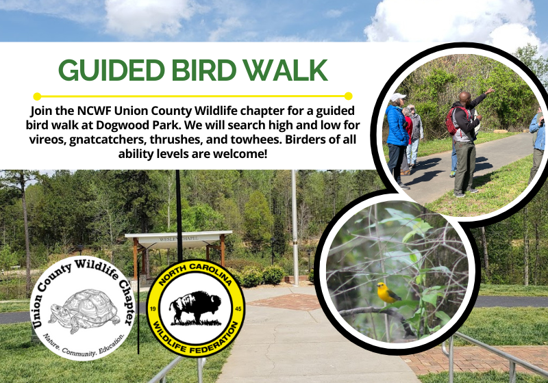 GuidedBirdWalk