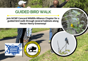 GuidedBirdWalkMay
