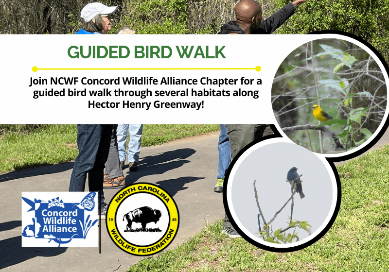 GuidedBirdWalkMay