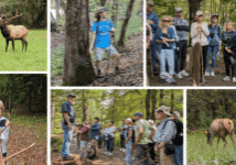 HAWK Autumn Elk Adventure 092925 September 29, Autumn Elk Adventure: NCWF Habitat and Wildlife Keepers chapter chartered a bus and took over 40 wildlife enthusiasts to witness the beauty of elk in the Great Smoky Mountains National Park. The group stopped for lunch in the charming town of Sylva before heading to the Oconaluftee Visitor Center to meet with Cherokee Nation Wildlife Biologist Dr. Caleb Hickman for a chance to see the bugling of elk during rutting season.