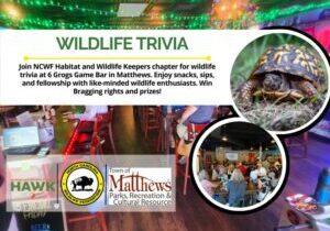 HAWKTRIVIA6Grogs