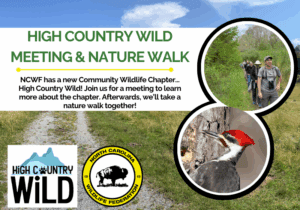 HCWNatureWalk