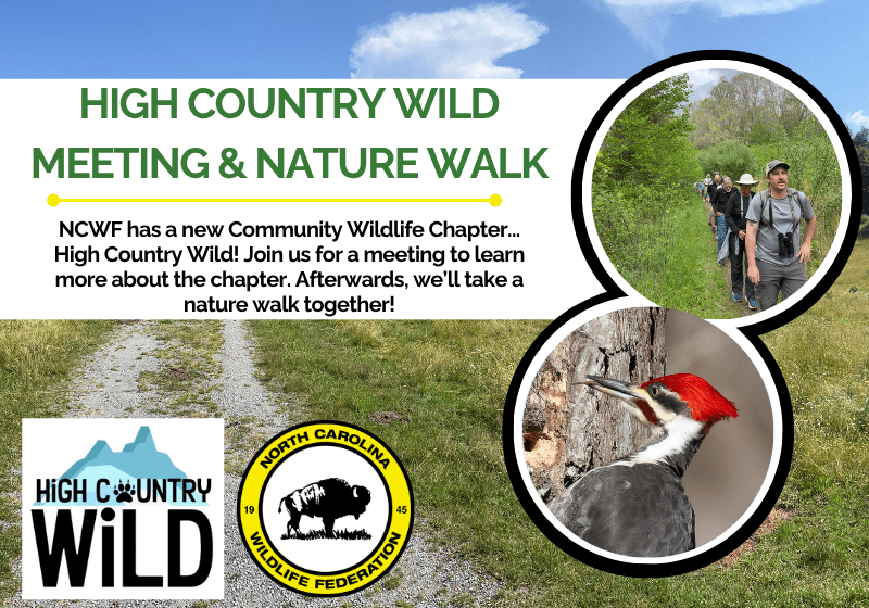 HCWNatureWalk