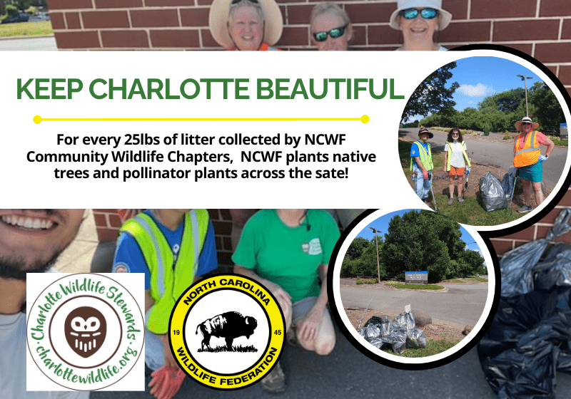 HelpKeepCharlotteBeautiful