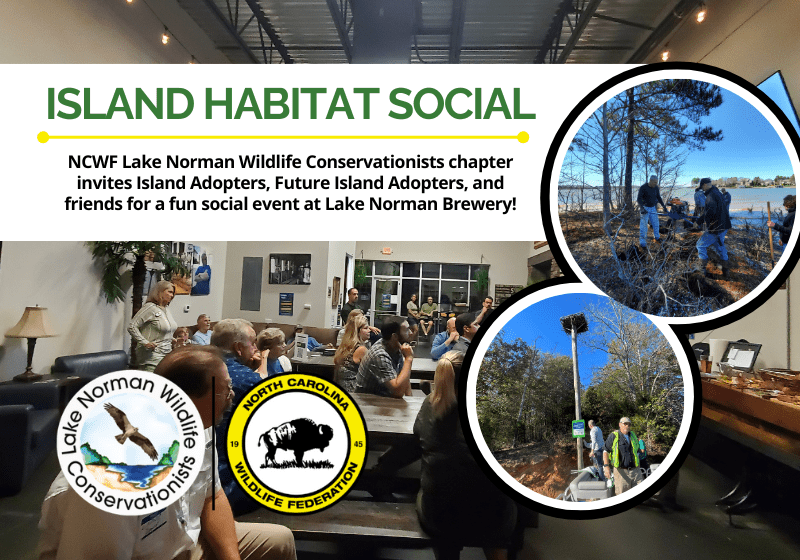 IslandHabitatSocial