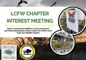 LCFWinterestmeeting