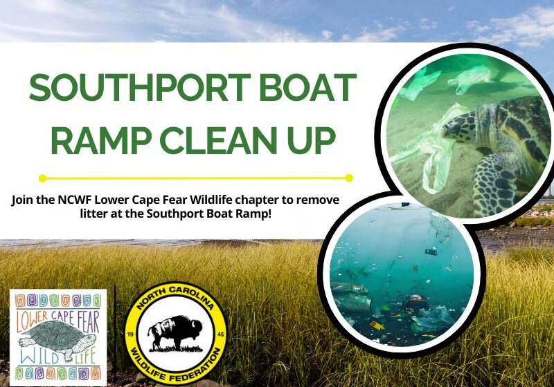 LCFWsouthportcleanup
