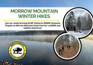 MoMoHikesHeaderFinal