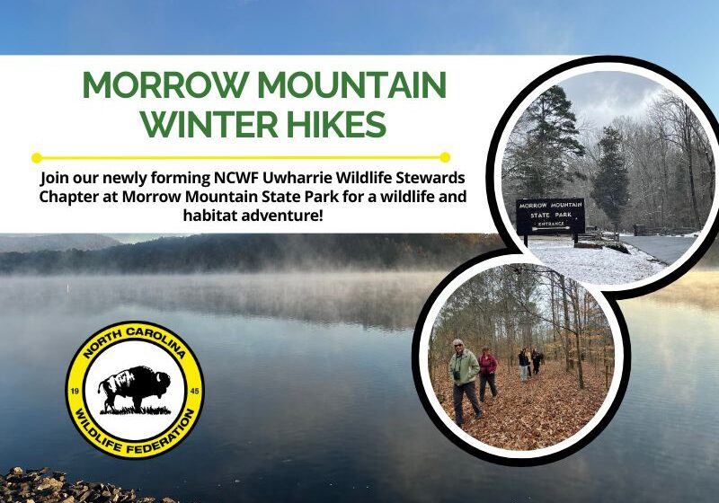 MoMoHikesHeaderFinal