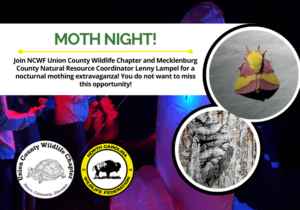 MothNightAgCenter