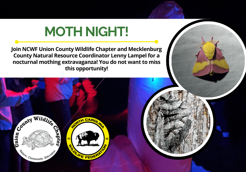 MothNightAgCenter