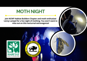 MothNightWaxhaw