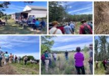 June 20, NCWF Deer, Turkey, and Beyond Private Land Workshop: NC Wildlife Resources Commission and NCWF hosted a workshop to teach landowners how to manage habitat for deer and turkey. The tour began with tips for managing early successional habitat by providing forage and brooding areas and ended with tips for managing forests for game species. Highlights of the day included an albino deer and a predated turkey nest spotted in one of the food plots. The day was a fantastic networking opportunity for landowners and experts alike and a crash course in managing private lands for wildlife. 