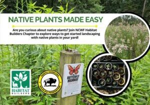 NativePlantsMadeEasy
