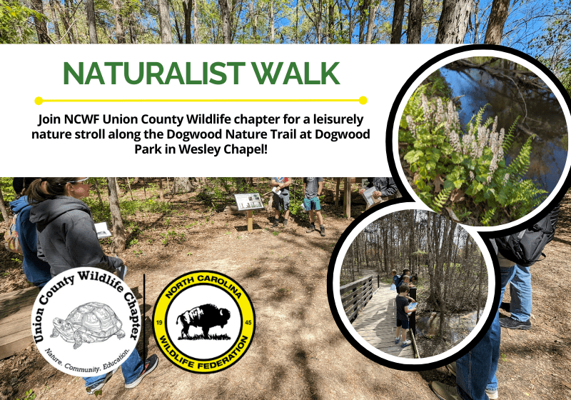 NaturalistWalk