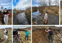 Mount Jefferson State Natural Area in November 2025: NCWF High Country Wild alongside New River Conservancy, Keep Ashe Beautiful, and State Parks hosted a volunteer planting day along Naked Creek in Ashe County. With support from environmental science students at Oak Hill Academy, we planted over 2,000 native trees and shrubs!
