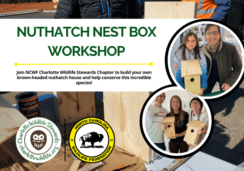 NuthatchNestboxWorkshop