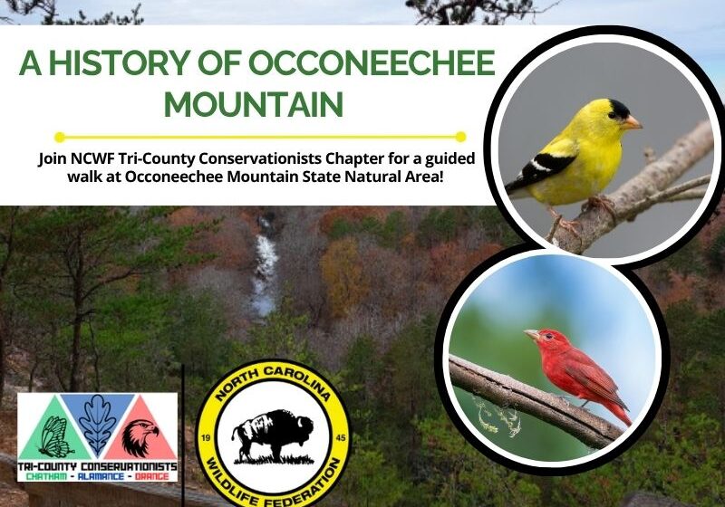 Occoneechee