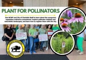 PlantForPollinators