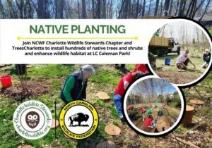 PlantingWithTreesCharlotte