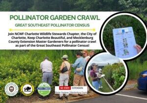 PollinatorCrawlFinal