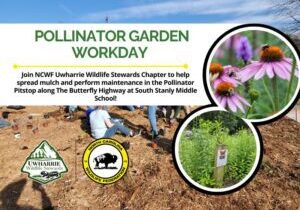 PollinatorGardenWorkday