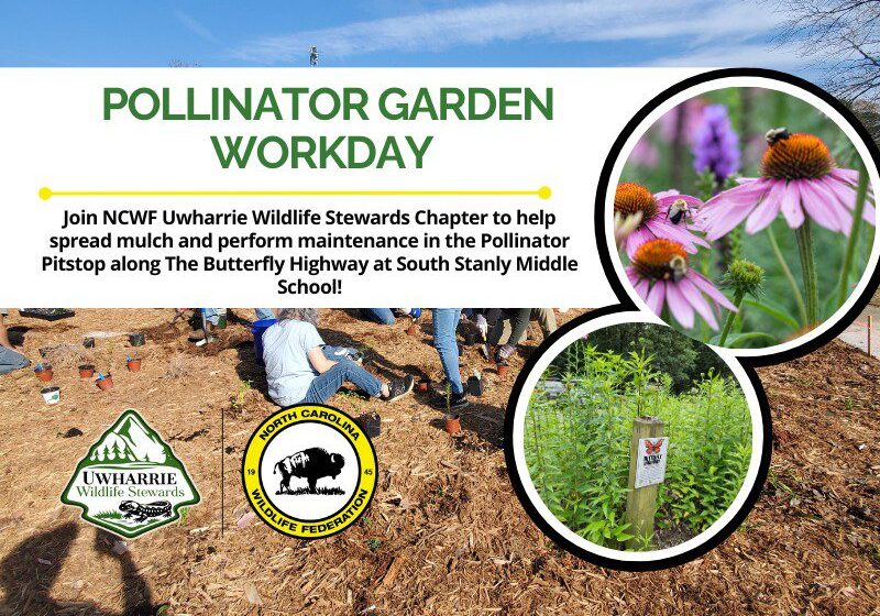 PollinatorGardenWorkday