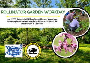 PollinatorGardenWorkdayFinal