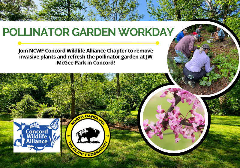 PollinatorGardenWorkdayFinal