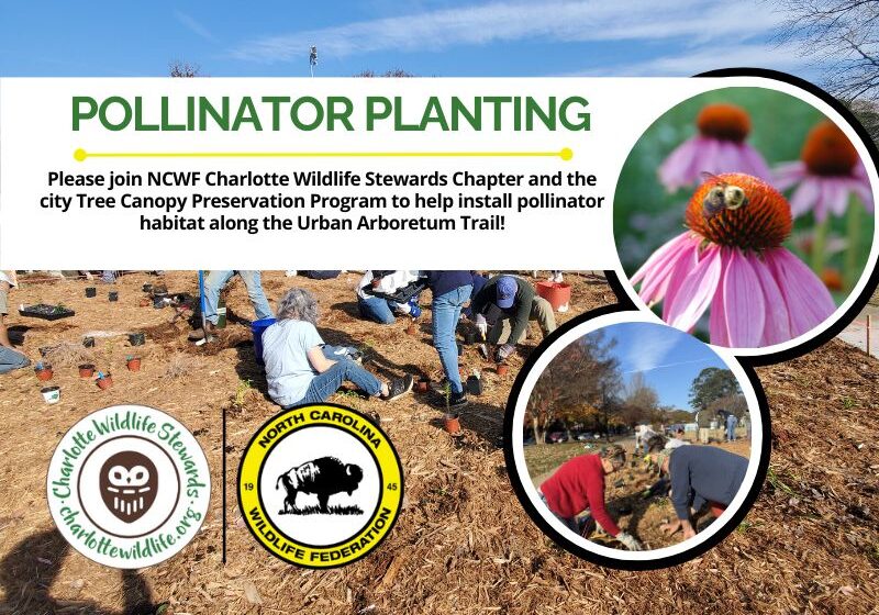 PollinatorPlantingUAT