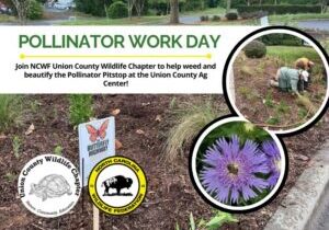 PollinatorWorkDay (1)