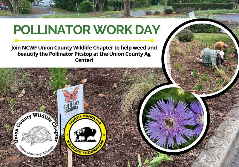 PollinatorWorkDay (1)