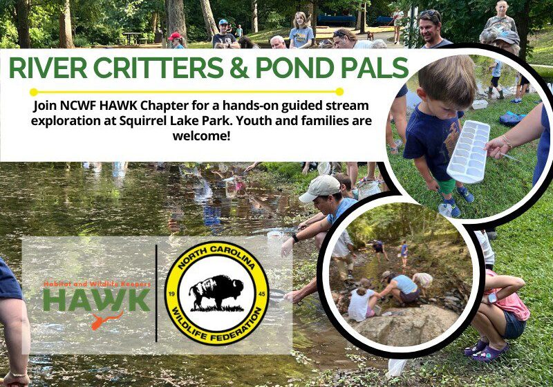 RiverCrittersPondPals26