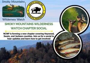 Program Banners - 67