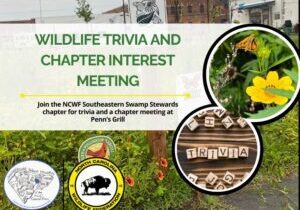 SSStriviaandinterest