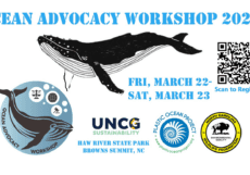 ocean advocacy workshop