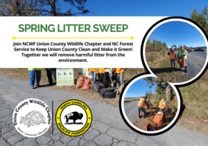 SpringLitterSweepFinal