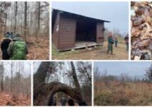 December 6, TW Uwharrie Hike: NCWF Triad Wild Chapter went on a guided hike at Little Long Mountain in Uwharrie National Forest. Participants were treated to a hike led by biologists from the National Forest Service. The hike leaders stopped to identify local flora and fauna as they walked while also discussing land management strategies such as prescribed burning