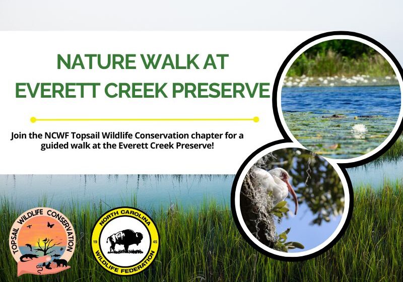 TWCeverettcreek