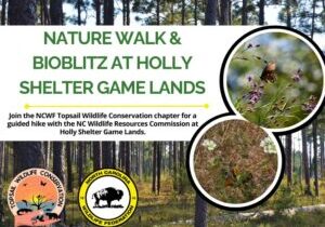 TWCnaturewalkhsgl